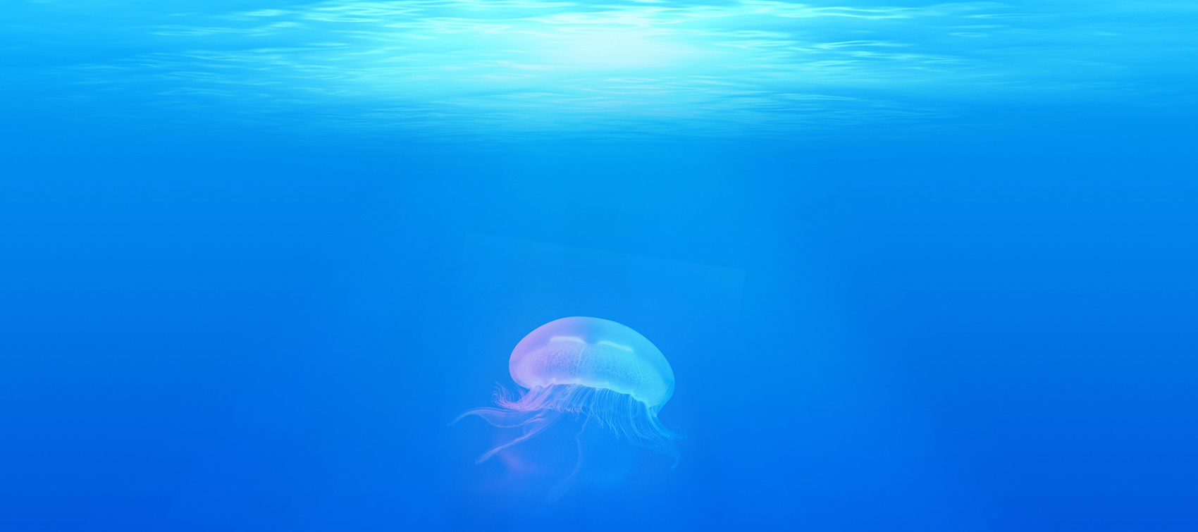 Troops and Crew 13 Seabase 2025